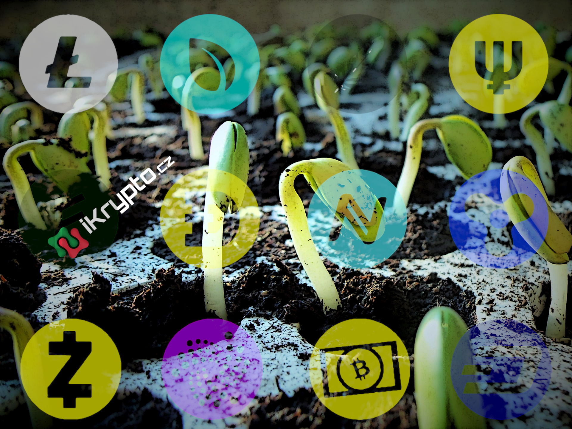 oznaceni altcoin