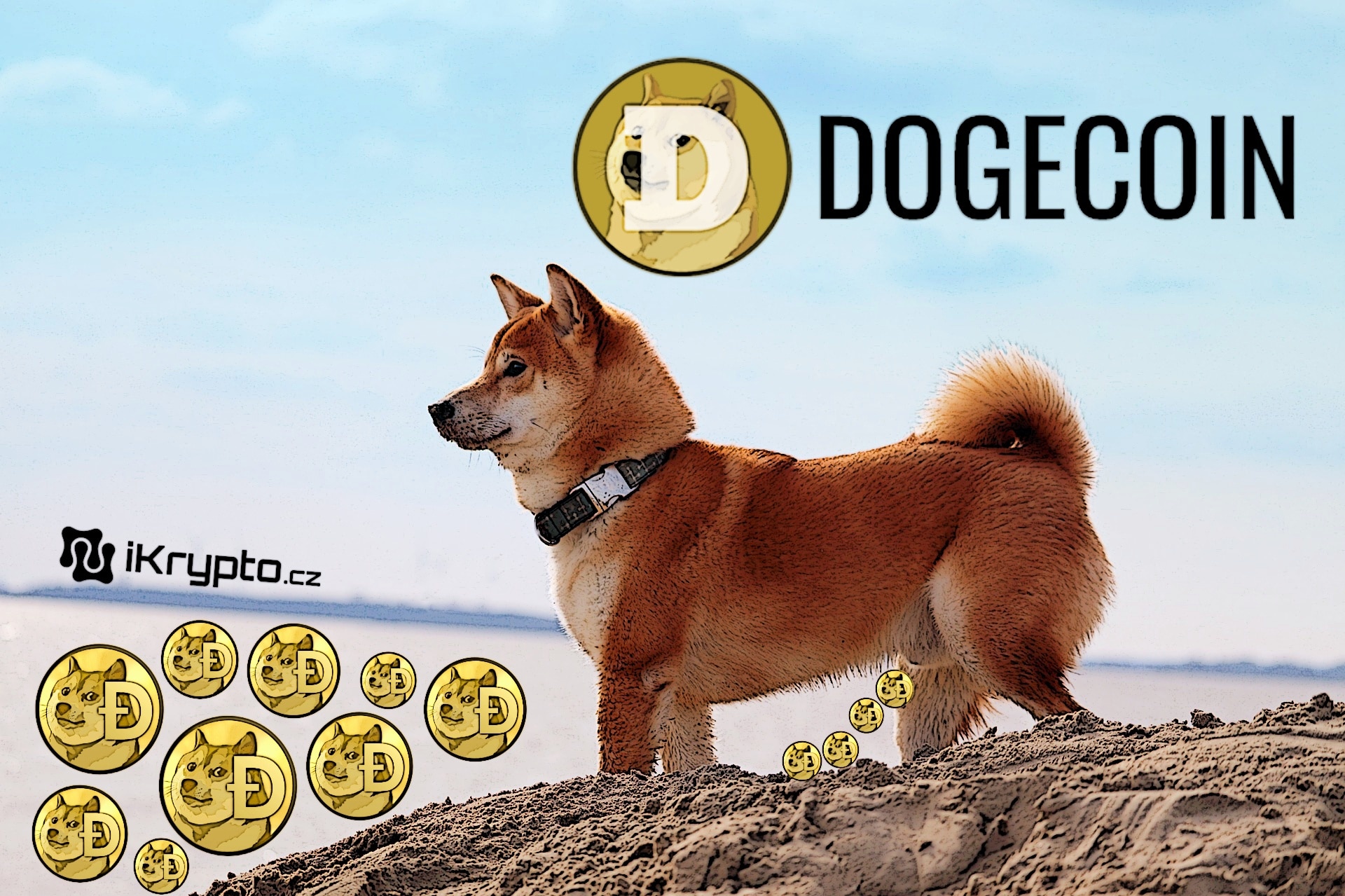 kryptomena dogecoin
